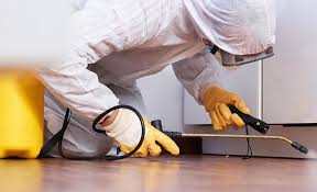 Best Pest Prevention Services  in South Glens Falls, NY